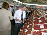 SVE�ANO OTVORENI �DANI JAGODASTOG VO�A BiH�