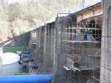 „ZADOVOLJNI SMO KVALITETOM IZVEDENIH RADOVA U PRVOJ FAZI SANACIJE BRANE MODRAC“
