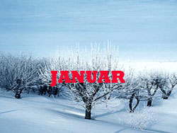 Novembar