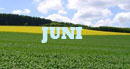 JUNI