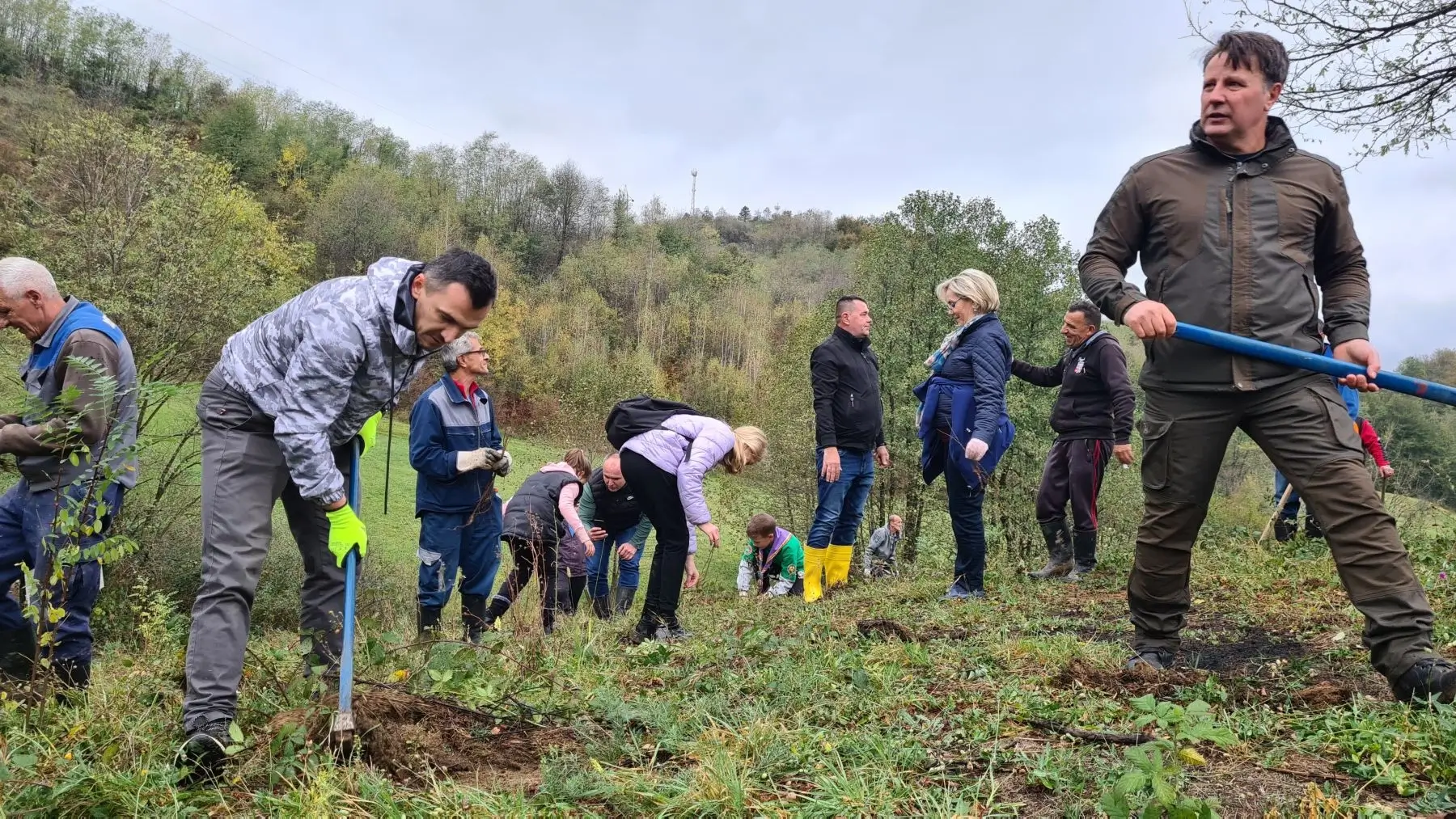 Posumljavanje 13 08 11 2023